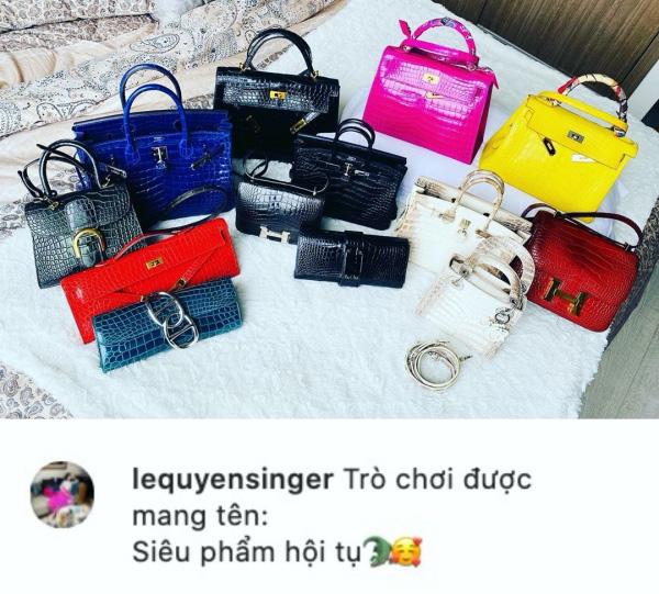 Hội bạn thân Lệ Quyên khoe túi Hermès nhiều như lợn con-5