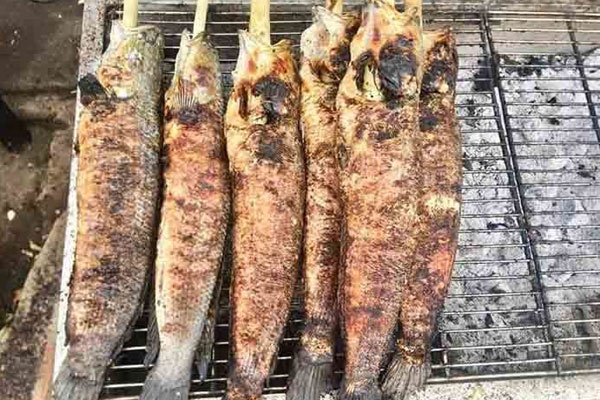 Thứ Việt Nam đang vứt đi, Amazon rao bán 100 USD/tấn-2