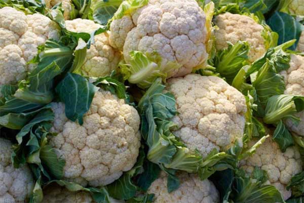 Khi mua súp lơ nên chọn loại bông dày hay thưa? Mách bạn một mẹo nhỏ cả mùa được ăn ngon-6
