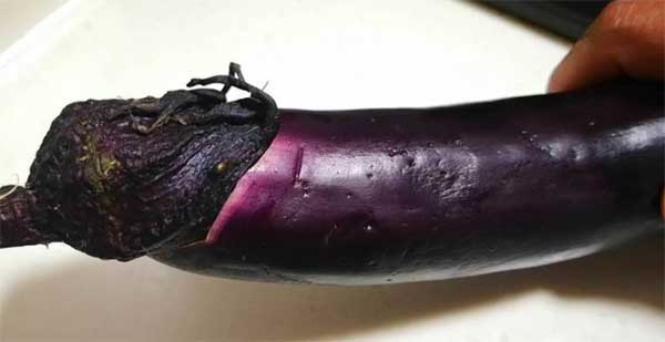 Khi mua cà tím dài nên chọn loại thẳng hay cong? Hãy ghi nhớ 4 điều này, bạn sẽ không bị mua nhầm-3