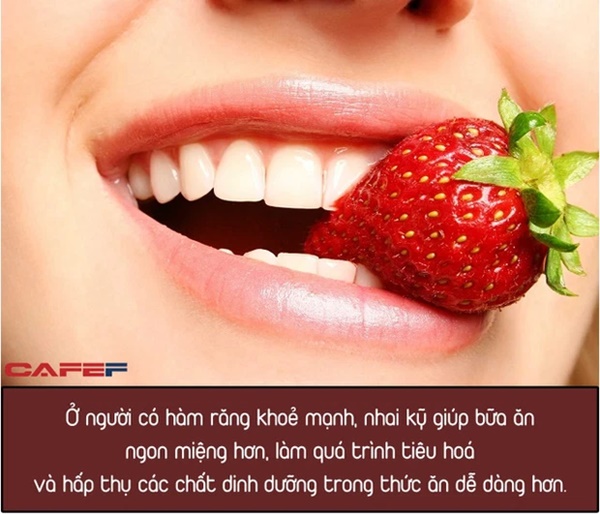 Người sống thọ thường có 6 biểu hiện bên ngoài thường thấy nhất: Nếu ai có nhiều hơn 3 thì xin chúc mừng-1