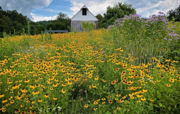 Khám phá không gian sống của Hoa hậu Ngọc Khánh ở trời Tây-11