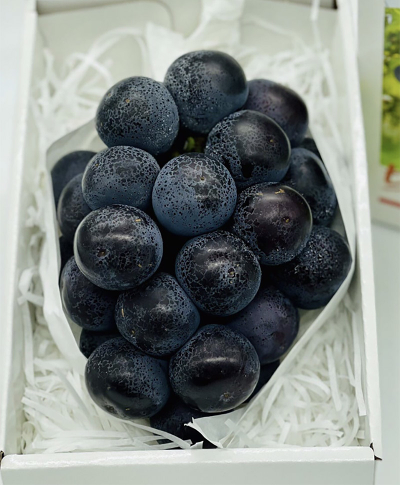 Nho Nhật Bản siêu đắt đỏ: Ăn đủ combo mất 20 triệu đồng-14