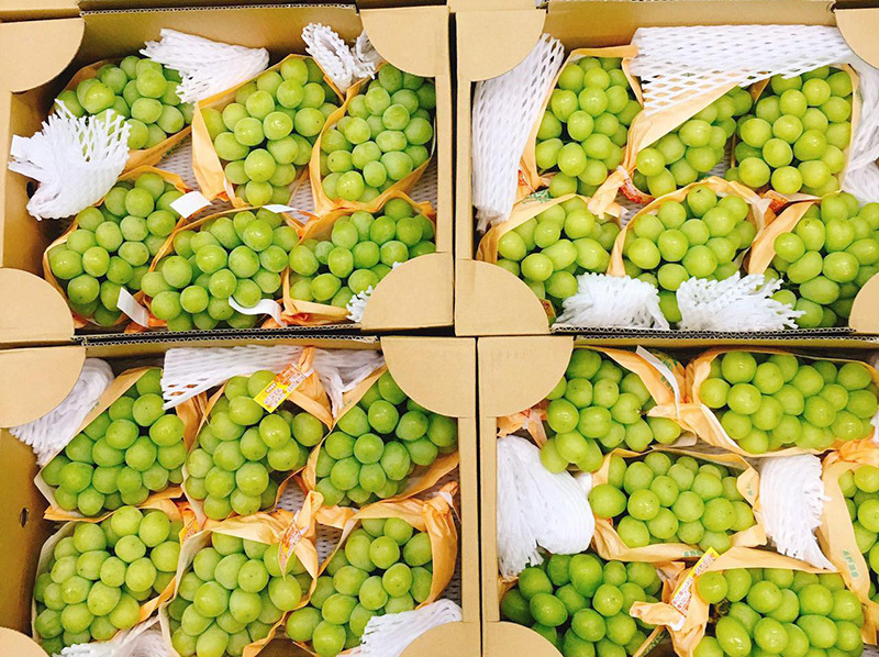 Nho Nhật Bản siêu đắt đỏ: Ăn đủ combo mất 20 triệu đồng-6