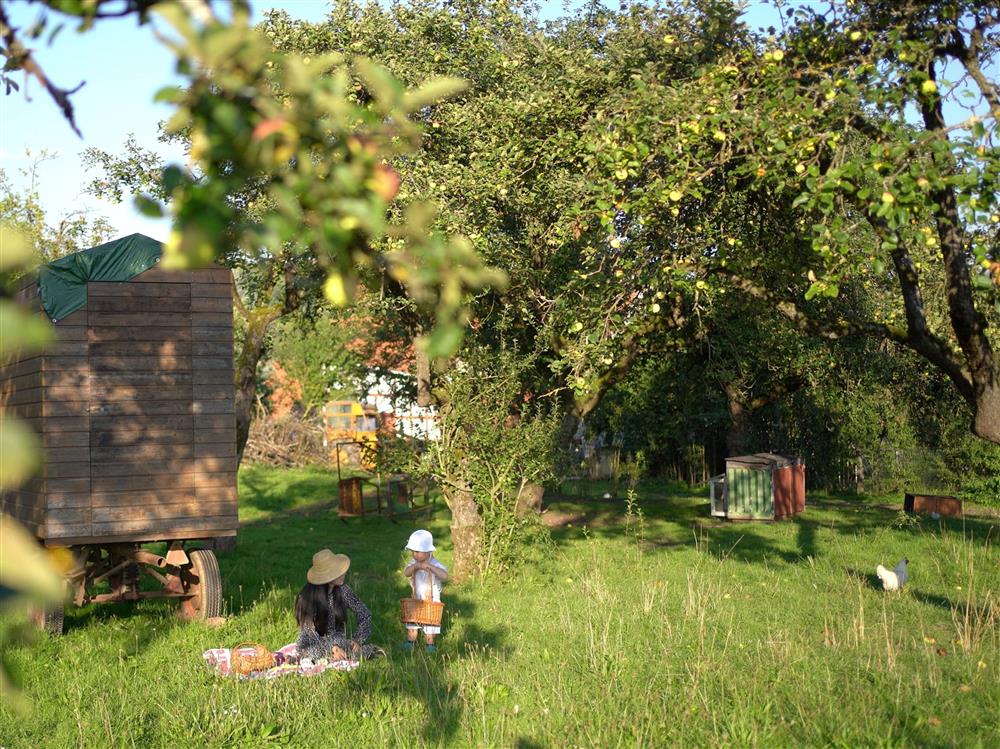 Vợ Việt chồng Đức bỏ phố về quê, sống ở nông trại gần 9.000 m2-10