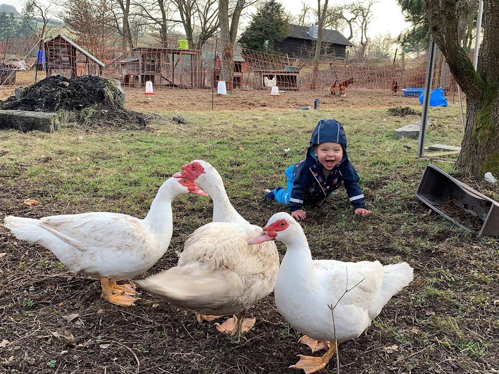 Vợ Việt chồng Đức bỏ phố về quê, sống ở nông trại gần 9.000 m2-12