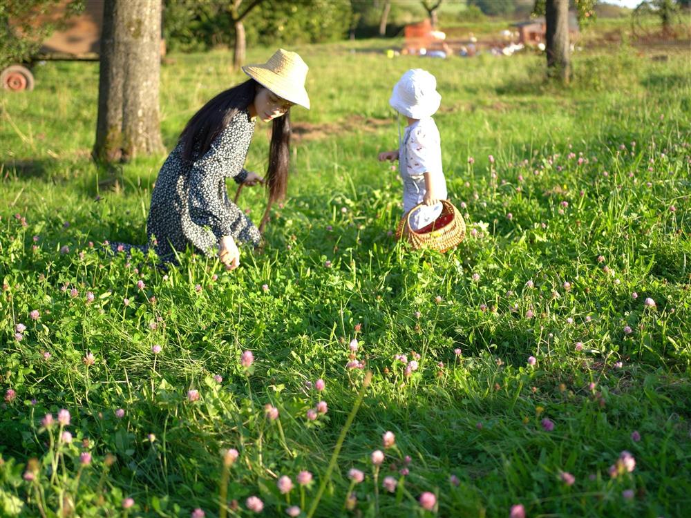 Vợ Việt chồng Đức bỏ phố về quê, sống ở nông trại gần 9.000 m2-13