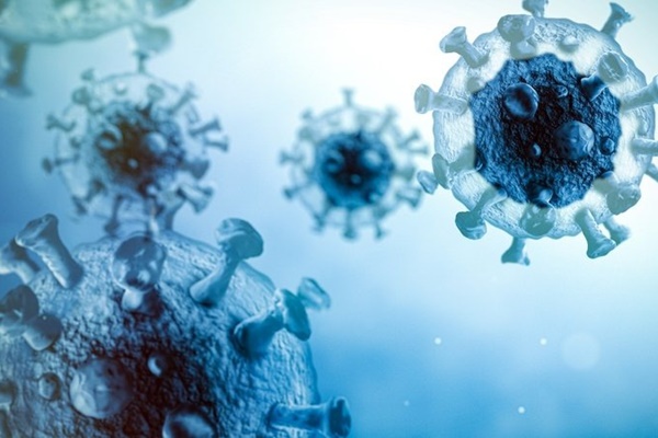 Nhiều ổ dịch mới phức tạp xuất hiện ở các tỉnh-3