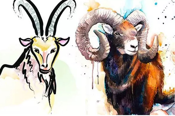 5 con giáp sau tuổi trung niên cuộc sống an nhàn, tài lộc dồi dào-1