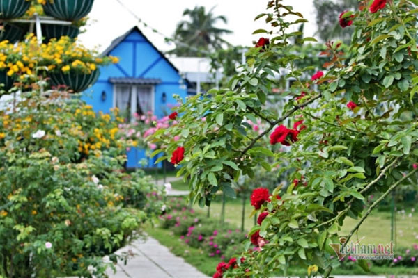 Tôi yêu đồng nghiệp khi đã có chồng con đề huề, gia đình hạnh phúc-2