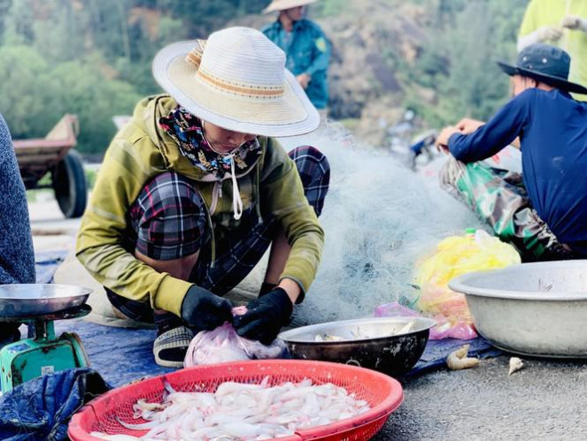 Loại cá đặc sản ở quê giá rẻ như cho, lên thành phố 250.000 đồng/kg tranh nhau mua-2