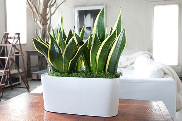 8 mẹo sắp xếp thông minh giúp mở rộng không gian phòng tắm-8