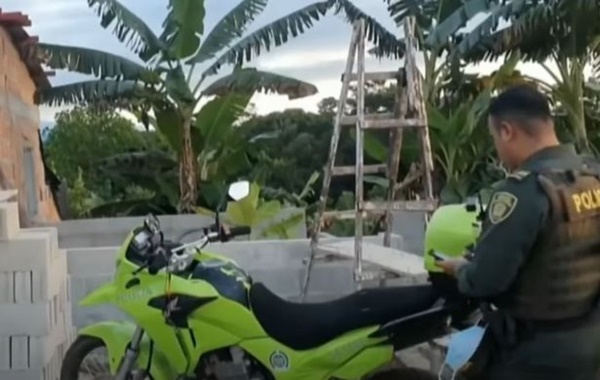 Đến thăm nhà ông bà được vài giờ, 2 anh em nôn mửa dữ dội rồi mất mạng chỉ vì Tử thần ẩn náu trong vườn-3