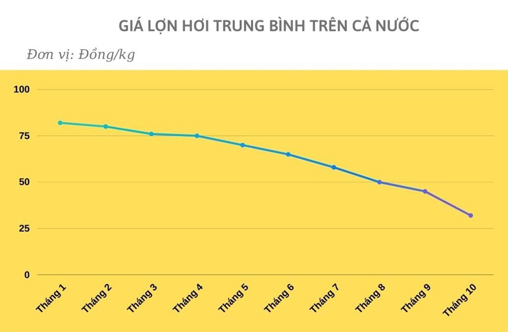 Giá thịt lợn đã nhảy múa ra sao trong 10 tháng qua?-1