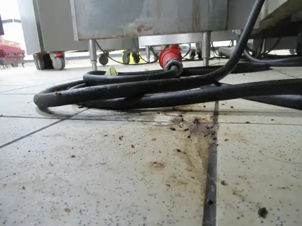 Cảnh gây sốc bên trong cửa hàng của thương hiệu đồ ăn nhanh nổi tiếng thế giới, thanh tra y tế đến yêu cầu khách rời đi ngay-3