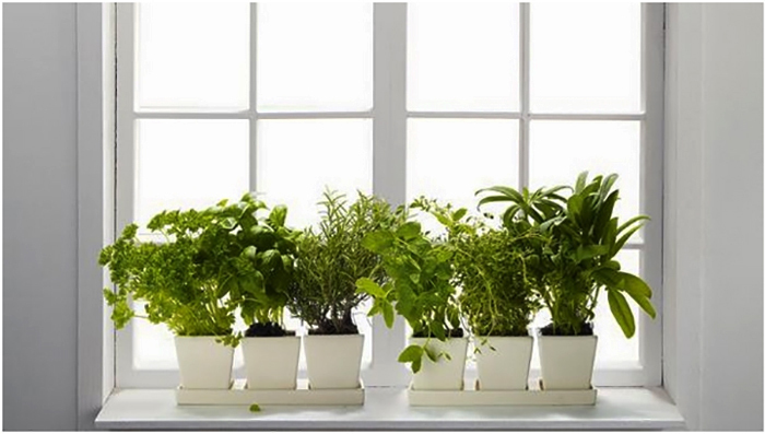 Ý tưởng thiết kế bệ cửa sổ sáng tạo và tiện dụng hết nấc cho bạn thêm những không gian tuyệt vời-10