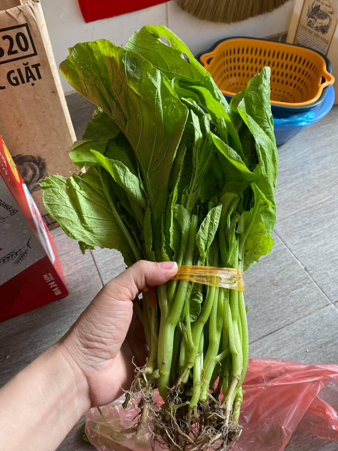 Chỉ 3 ngày không đi chợ, tiểu thương choáng váng với giá rau cải mơ 50.000 đồng/kg-2
