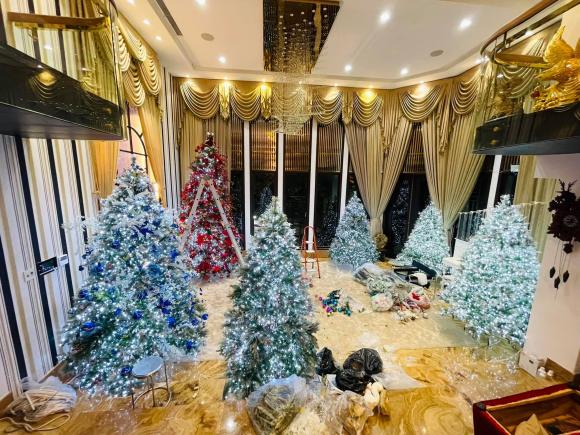 Giữa tin đồn ly hôn với nữ bầu show, Đàm Vĩnh Hưng trang trí Noel hoành tráng trong biệt thự 90 tỷ-1