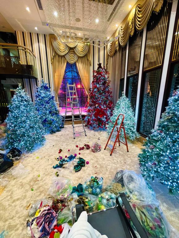 Giữa tin đồn ly hôn với nữ bầu show, Đàm Vĩnh Hưng trang trí Noel hoành tráng trong biệt thự 90 tỷ-3