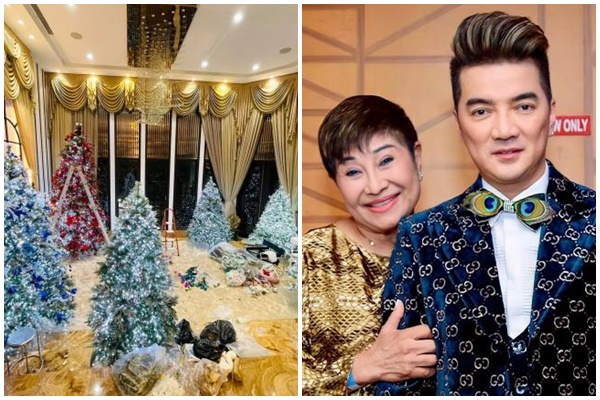 Cận cảnh biệt thự rộng 700m2 với vườn cây xanh mướt của tài tử Lý Hùng-6