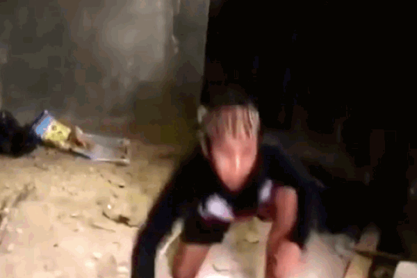 Clip: Chó Pitbull tử chiến rắn hổ mang chúa và cái kết không ngờ-1