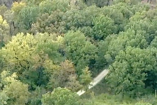 Nóng: Giám đốc hãng hàng không nổi tiếng bặt vô âm tín 1 năm được tìm thấy chết kỳ lạ trong rừng, để lại loạt manh mối đau đầu-3