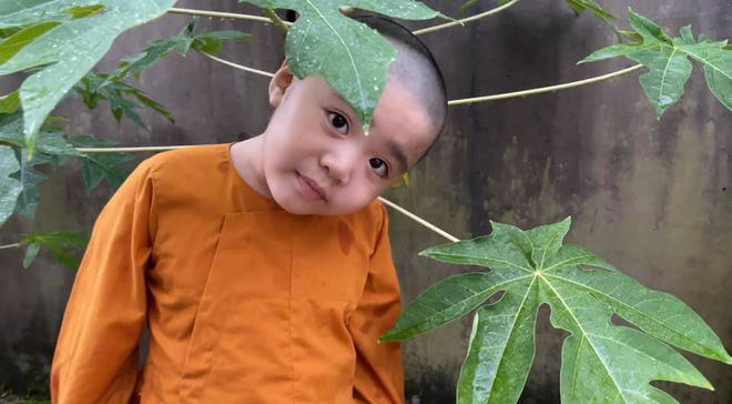 5 em bé ở Tịnh thất Bồng Lai nổi tiếng từ Thách Thức Danh Hài giờ ra sao?-3