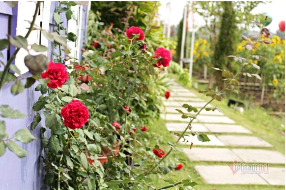 Tâm sự người thứ ba: Càng ngày tôi càng ghen với vợ của anh ấy-1