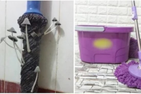 4 cách làm sạch cây lau nhà đơn giản, không còn bẩn đen, nấm mốc và mùi hôi