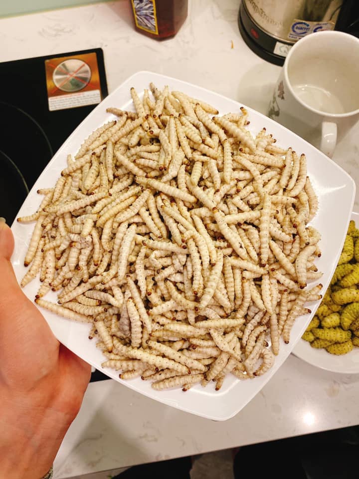 Giá sâu tre giá nửa triệu/kg nhưng các chị em vẫn mua về rang lá chanh đãi chồng làm mồi nhắm-5