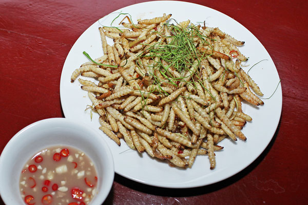 Loài sâu bướm nhìn nổi da gà bổ béo gì mà đắt hơn tôm hùm?-11