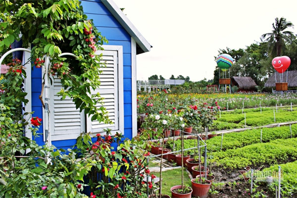 Uống say, bạn trai đưa vào nhà nghỉ, rồi... chốt cửa đi về-1