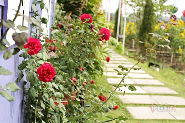 Nghe vợ bị tai nạn, tôi cuống cuồng lao đến bệnh viện, để rồi khi nhìn thấy người nằm giường bên cạnh cô ấy mà đau điếng-1