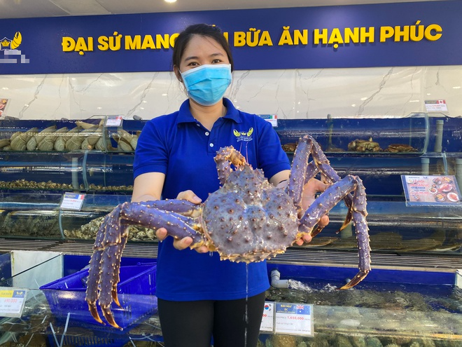 Con cua tím vừa xuất hiện ở TP.HCM quý hiếm cỡ nào?-1