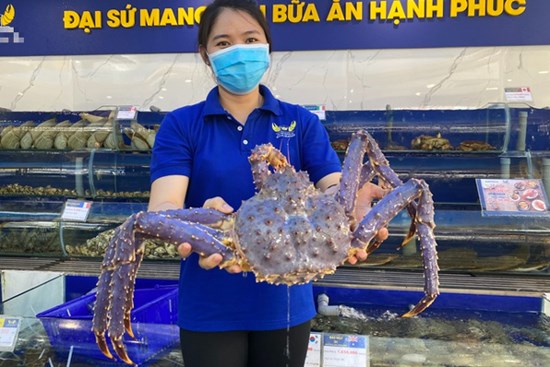 Con cua tím vừa xuất hiện ở TP.HCM quý hiếm cỡ nào?