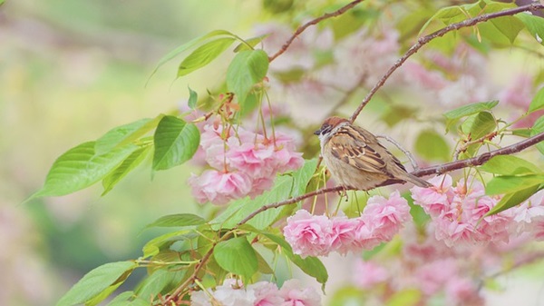 Thần Tài ưu ái, quý nhân đưa đường, 4 con giáp phất nhanh trong tháng 11 tới-3