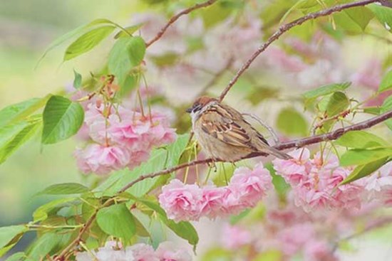 Thần Tài ưu ái, quý nhân đưa đường, 4 con giáp phất nhanh trong tháng 11 tới