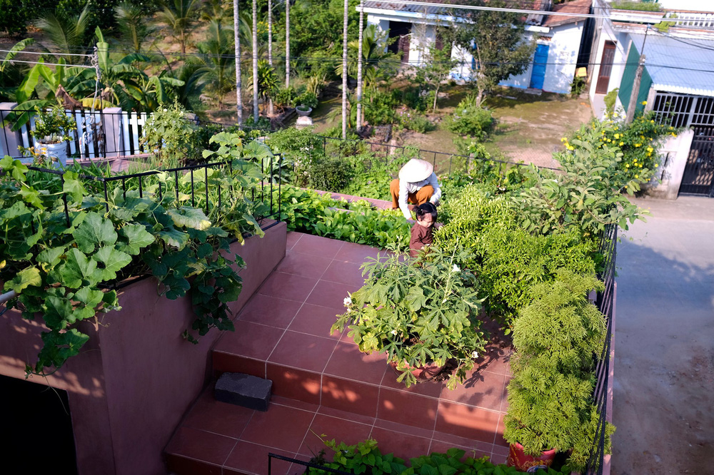 Nhà Mái Đỏ ở Quảng Ngãi thắng giải do tạp chí Quốc tế bình chọn: Nếp sống làng quê tái hiện bằng vườn trên mái, bếp củi và khu nuôi gà giữa căn nhà đầy chất nghệ-3