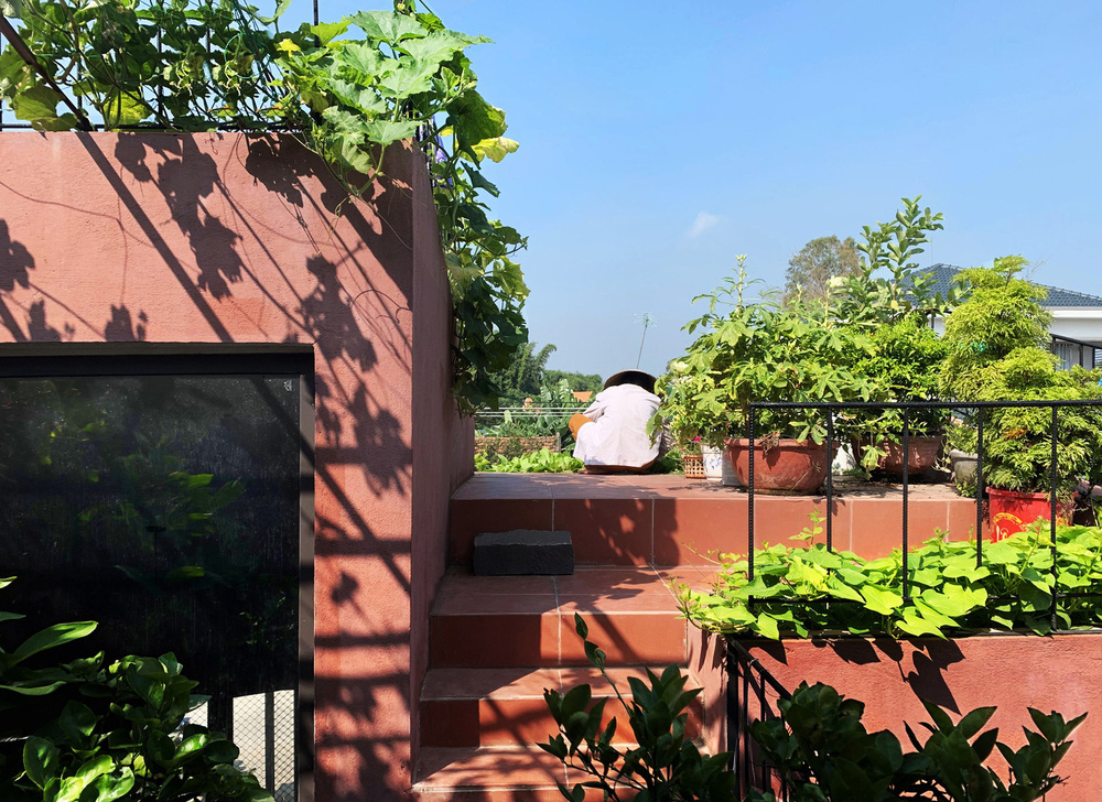 Nhà Mái Đỏ ở Quảng Ngãi thắng giải do tạp chí Quốc tế bình chọn: Nếp sống làng quê tái hiện bằng vườn trên mái, bếp củi và khu nuôi gà giữa căn nhà đầy chất nghệ-4