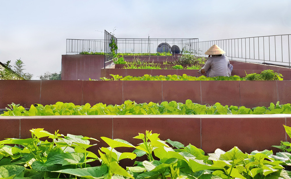 Nhà Mái Đỏ ở Quảng Ngãi thắng giải do tạp chí Quốc tế bình chọn: Nếp sống làng quê tái hiện bằng vườn trên mái, bếp củi và khu nuôi gà giữa căn nhà đầy chất nghệ-7