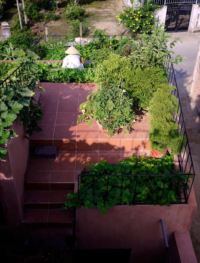 Nhà Mái Đỏ ở Quảng Ngãi thắng giải do tạp chí Quốc tế bình chọn: Nếp sống làng quê tái hiện bằng vườn trên mái, bếp củi và khu nuôi gà giữa căn nhà đầy chất nghệ-9