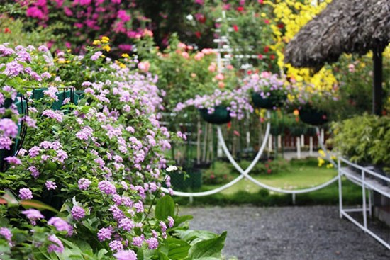 Vượt đường xa đến tìm, vợ chết lặng thấy chồng chung sống với nhân tình