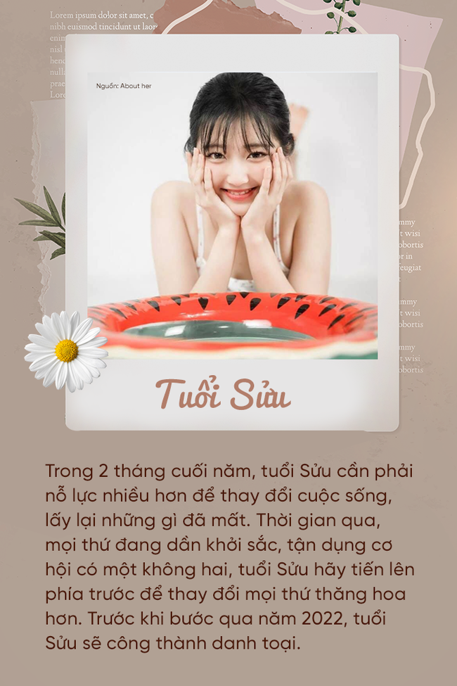 Cuộc sống 12 con giáp trong 2 tháng cuối năm: Đa số đều khổ tận cam lai, một vài người cẩn trọng thị phi xung quanh-2