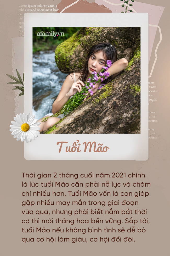 Cuộc sống 12 con giáp trong 2 tháng cuối năm: Đa số đều khổ tận cam lai, một vài người cẩn trọng thị phi xung quanh-4