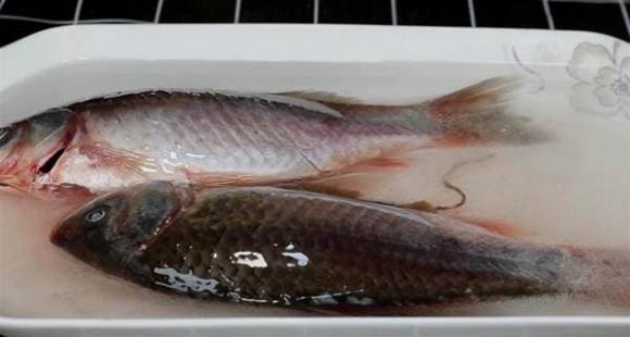 Cho dù là loại cá nào được rã đông, hãy nhớ phương pháp này, chỉ cần một mẹo nhỏ là cá sẽ được rã đông hoàn toàn trong vòng 5 phút. Thật là tuyệt vời!-5