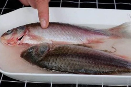 Cho dù là loại cá nào được rã đông, hãy nhớ phương pháp này, chỉ cần một mẹo nhỏ là cá sẽ được rã đông hoàn toàn trong vòng 5 phút. Thật là tuyệt vời!