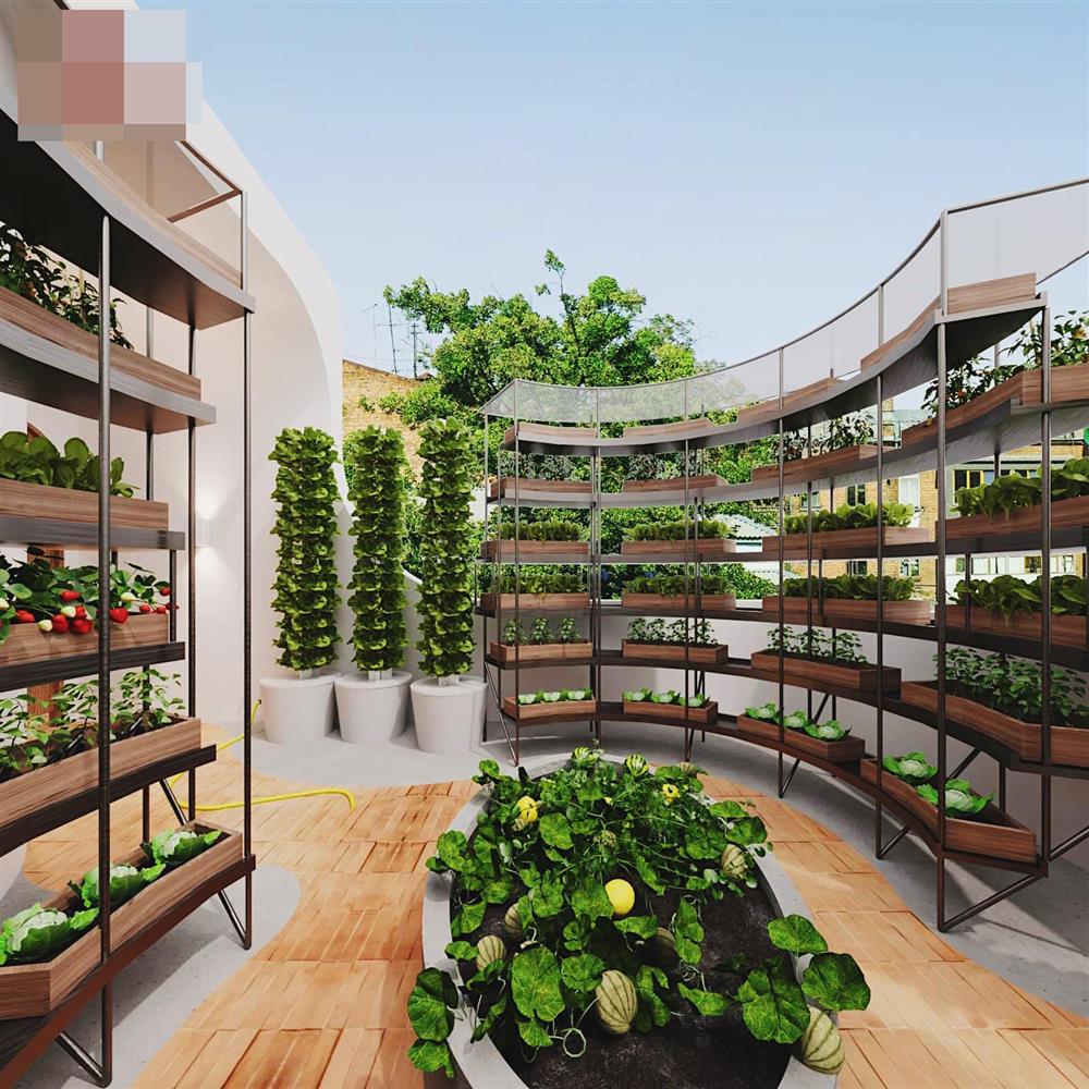 Ngôi nhà 3 tầng kiến trúc độc, lạ bố trí bếp trên sân thượng-10