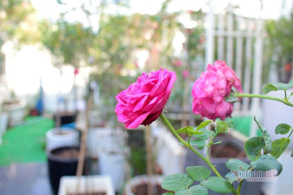 Có thai sau 10 năm chạy chữa, tôi vỡ òa hạnh phúc nhưng vừa thông báo với chồng thì lại gặp phải chuyện sét đánh-1