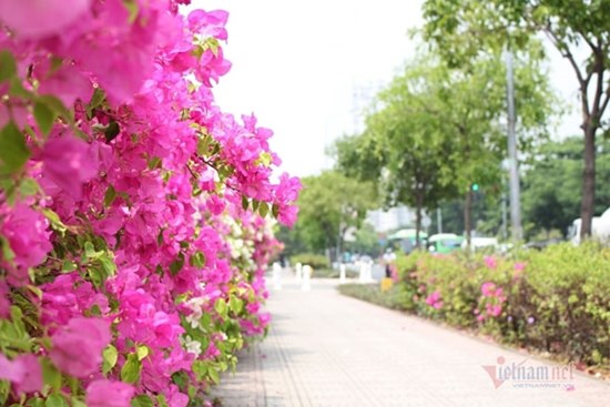 Nghi ngờ chồng ngoại tình từ thay đổi thói quen dùng điện thoại