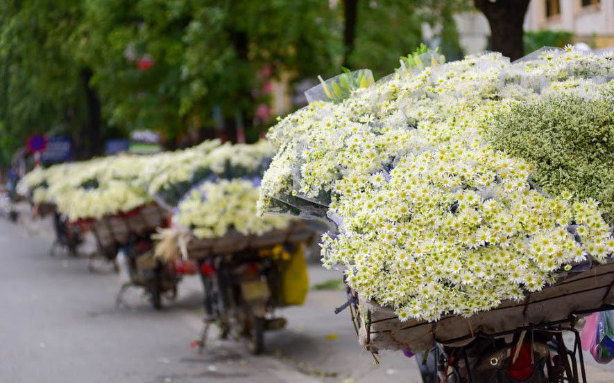 Cúc họa mi xuống phố đầu mùa nở căng đẹp, bó to 10 cành có giá 100 ngàn-1